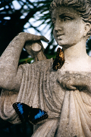 SS112-0005.jpg
