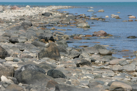 SS052-0082.jpg