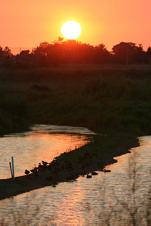 SS052-0064.jpg