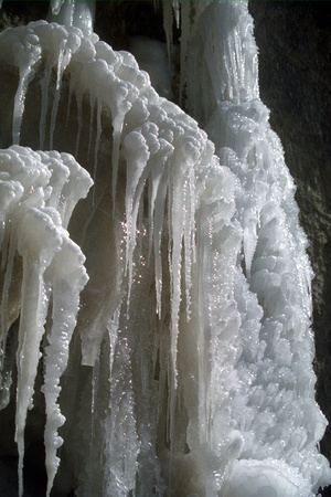SS05202-0005.jpg