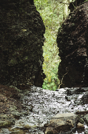 SS05202-0004.jpg