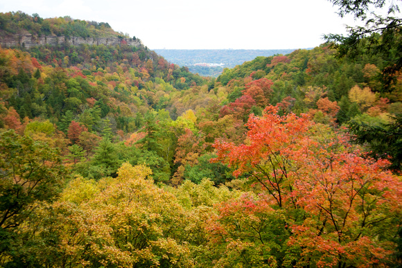FallHike 5