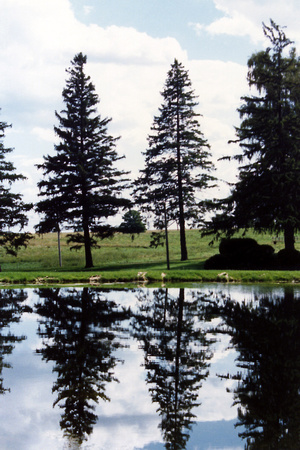 SS081-0033.jpg