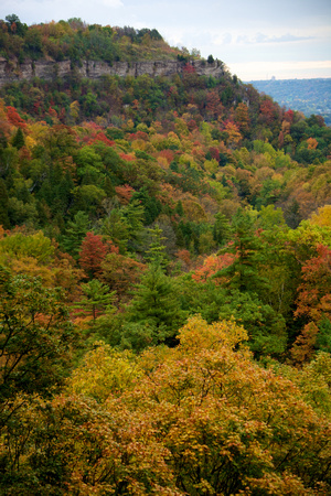 FallHike 4