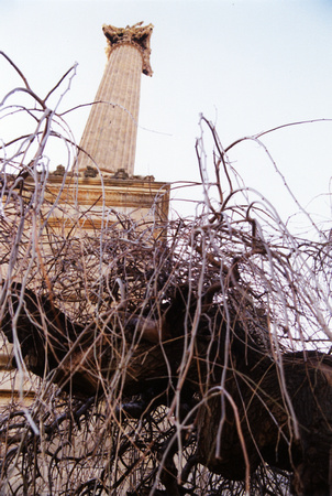 SS112-0015.jpg