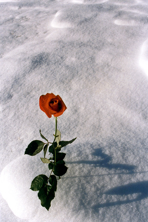SS08-0011.jpg