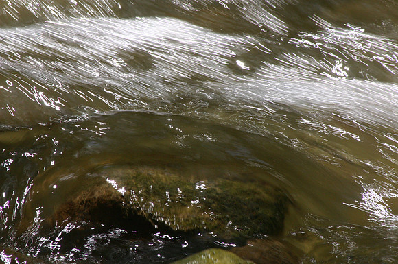 SS052-0044.jpg