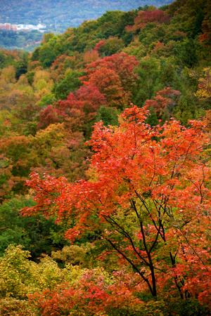 FallHike 6