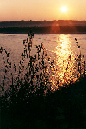 SS052-0016.jpg