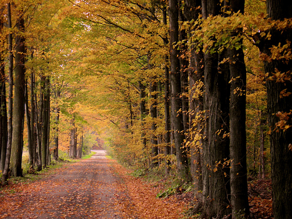 Fall-Autumn 13