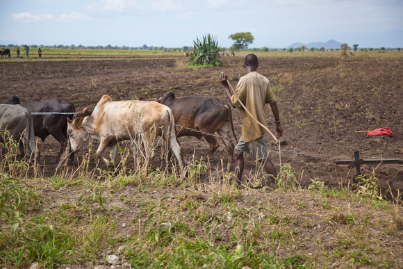 Tanzania0165