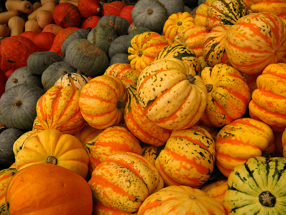 Fall-Autumn 7