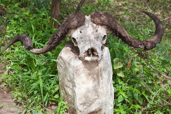 Tanzania0184