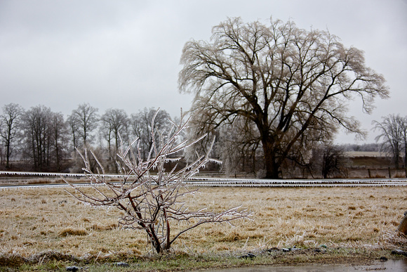 2013-04-12 at 16-30-03 (1)