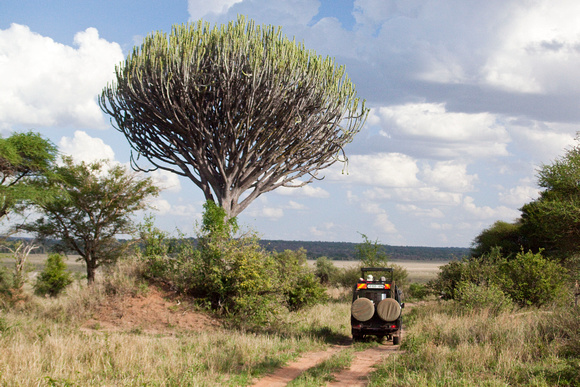 Tanzania0380