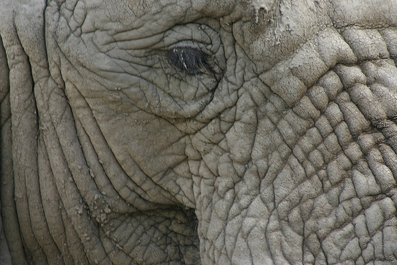 SS073-0004.jpg