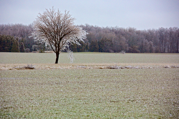 2013-04-12 at 15-24-32 (1)