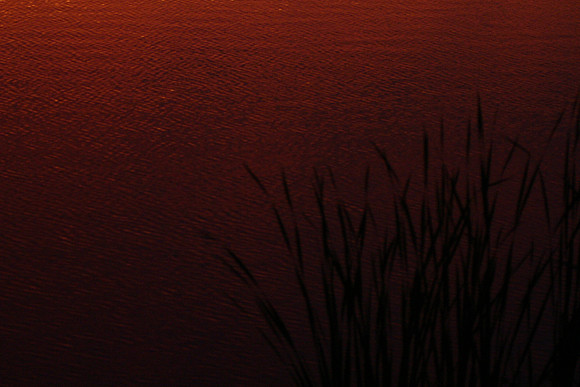 SS052-0067.jpg
