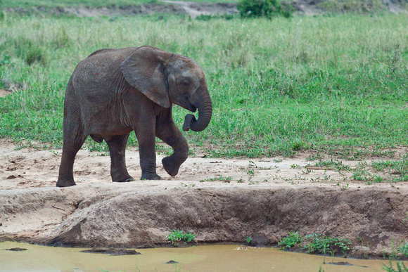 Tanzania0245