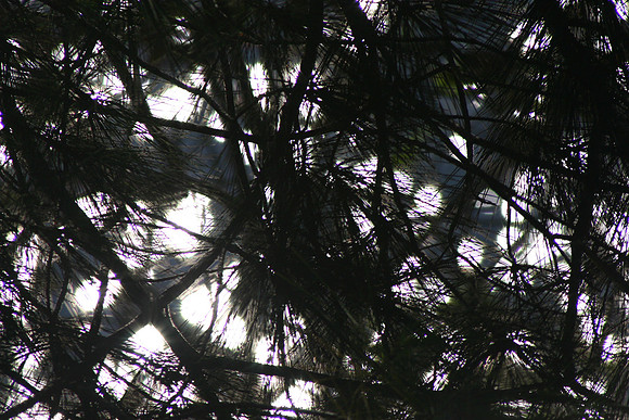 SS081-0120.jpg