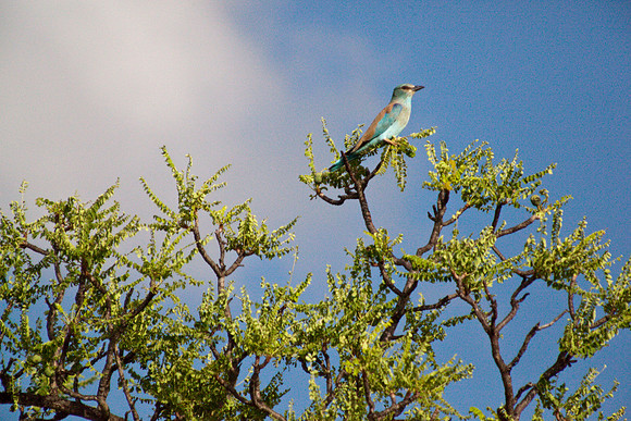 Tanzania0373