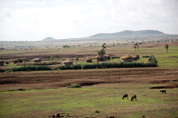 Tanzania0147