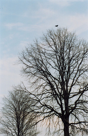 SS081-0002.jpg