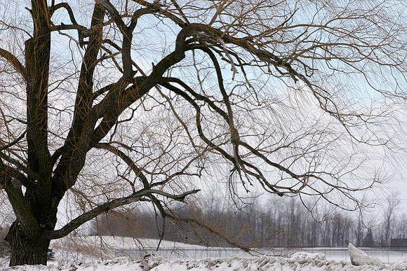 SS081-0128.jpg