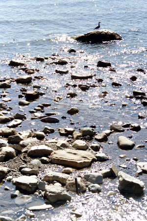 SS052-0026.jpg
