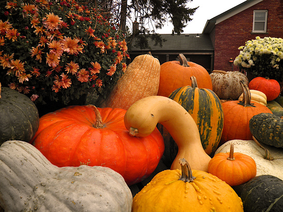 Fall-Autumn 2