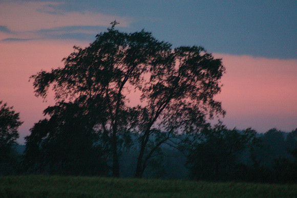 SS081-0052.jpg