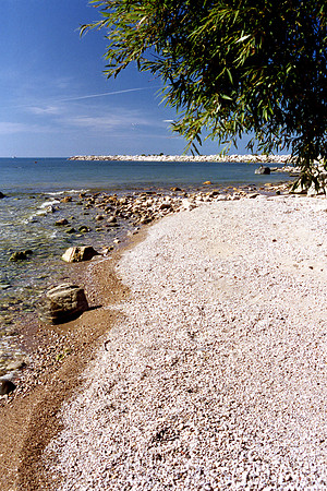 SS052-0015.jpg