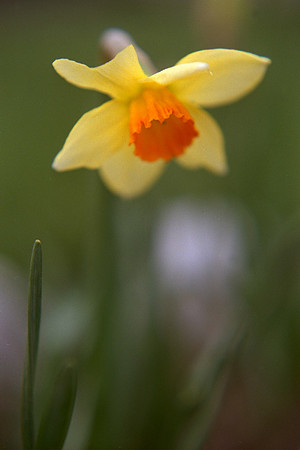 SS08-0053.jpg