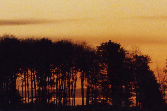 SS081-0010.jpg