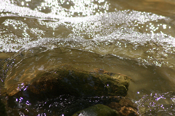 SS052-0043.jpg