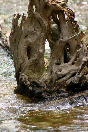 SS081-0116.jpg