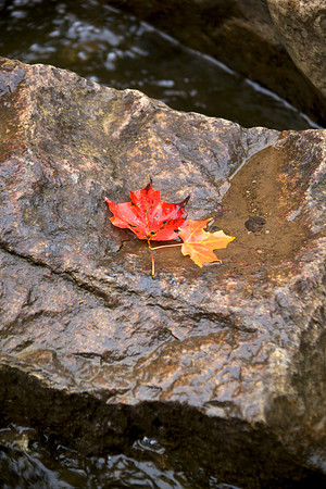 FallHike 27