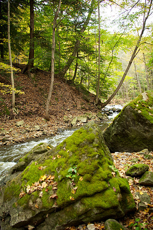 FallHike 29