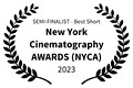 SEMI-FINALIST - Best Short - New York Cinematography AWARDS NYCA - 2023