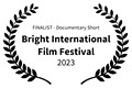 FINALIST - Documentary Short - Bright International Film Festival - 2023