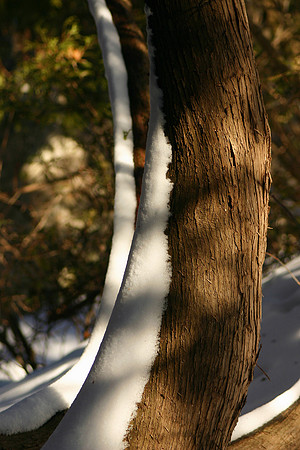SS081-0108.jpg