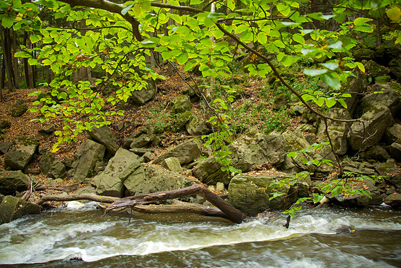 FallHike 30