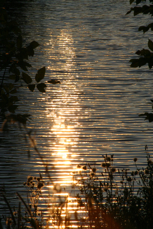 SS052-0049.jpg