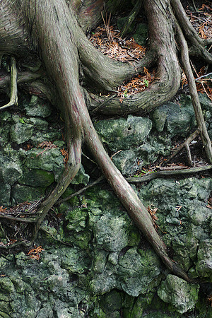 SS081-0115.jpg