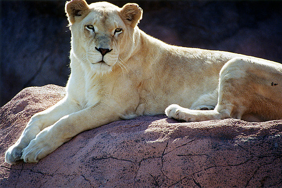 SS073-0055.jpg