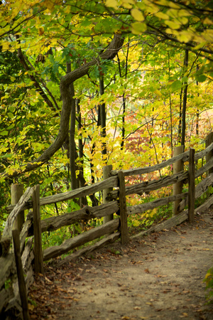 FallHike 2