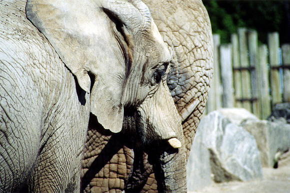 SS073-0056.jpg