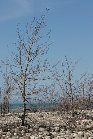 SS081-0133.jpg