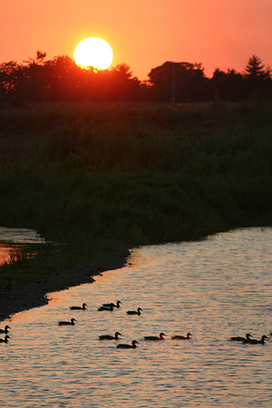 SS052-0065.jpg
