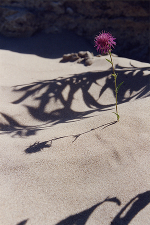 SS08-0017.jpg